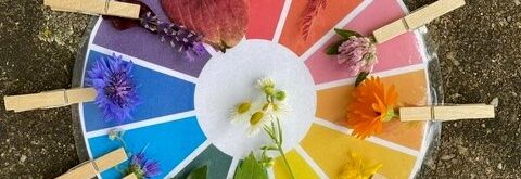 farbkreis mit naturmaterialien