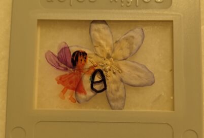 Kunst mit Blüte