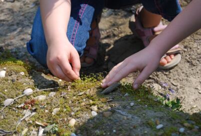 Kinder untersuchen Boden